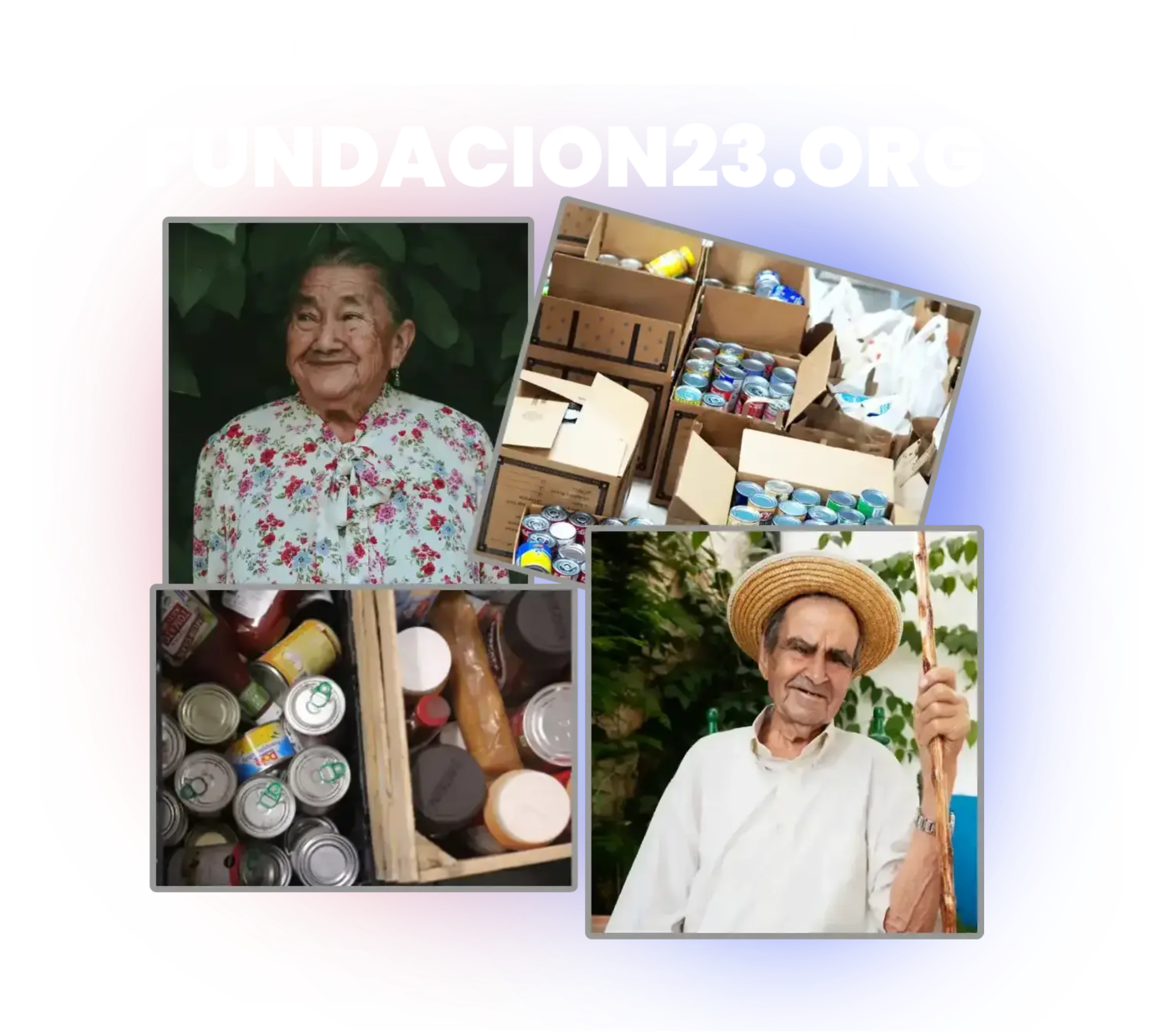 Fundacion 23 es una organización sin fines de lucro dedicada a proporcionar bienes esenciales, apoyo financiero y oportunidades educativas a familias y hogares de ancianos en la República Dominicana.